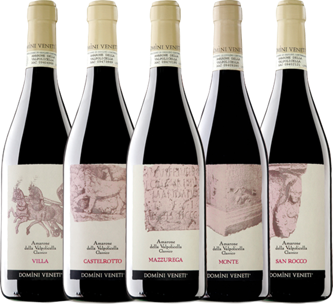 Amarone Espressioni (Collector Edition) 5x75cl (2011) DOMINI VENETI