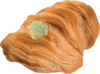 Aragostina Pistacchio I