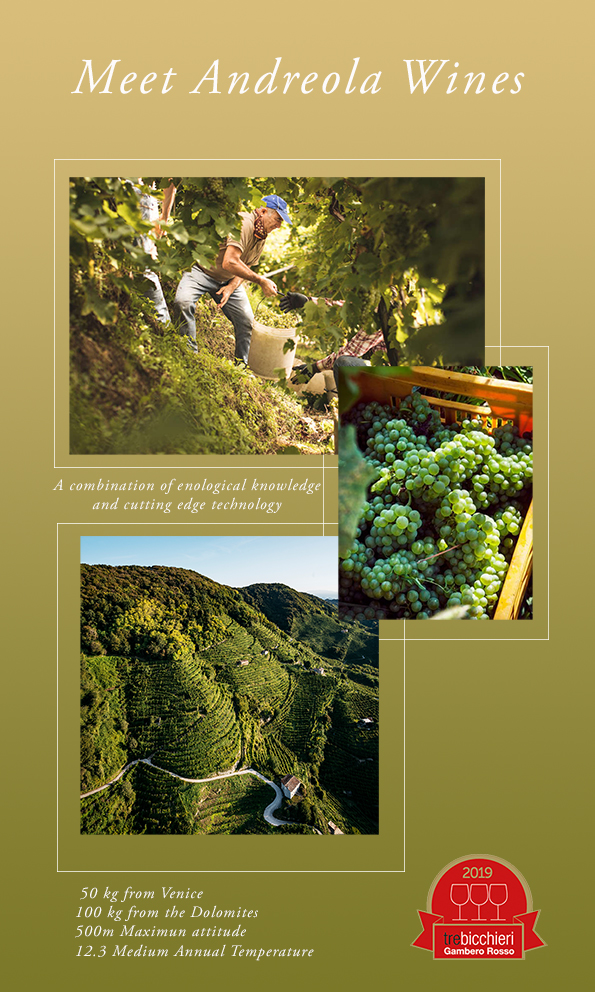 Meet Andreola Wines