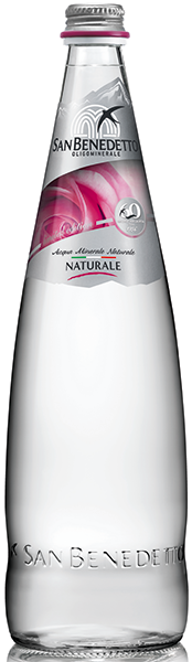 Acqua Minerale Naturale 12x1l SAN BENEDETTO