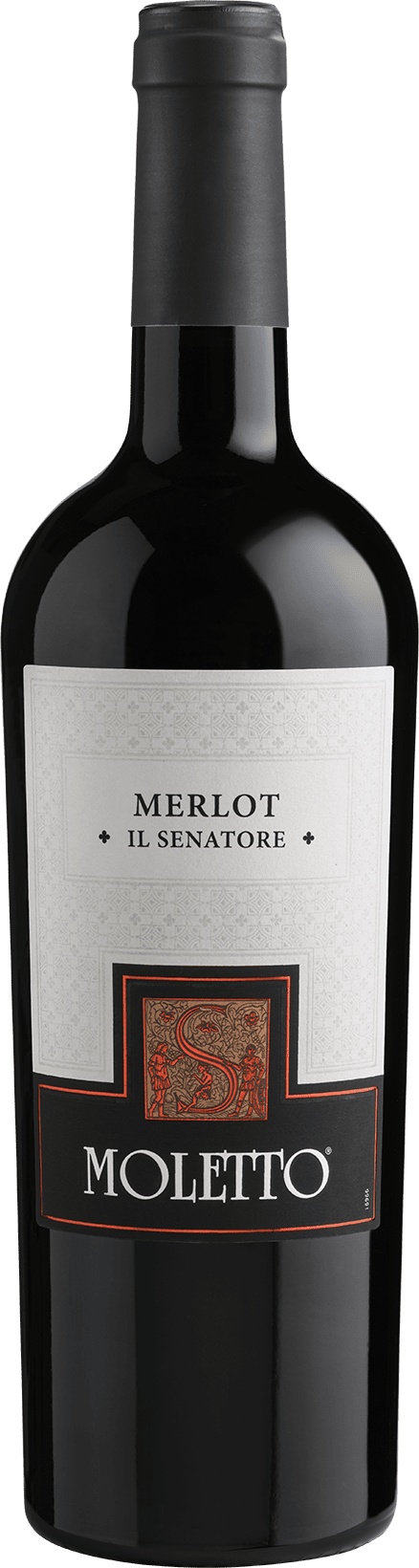 Merlot 'Il Senatore' Veneto I.G.T. (2021) 75cl MOLETTO