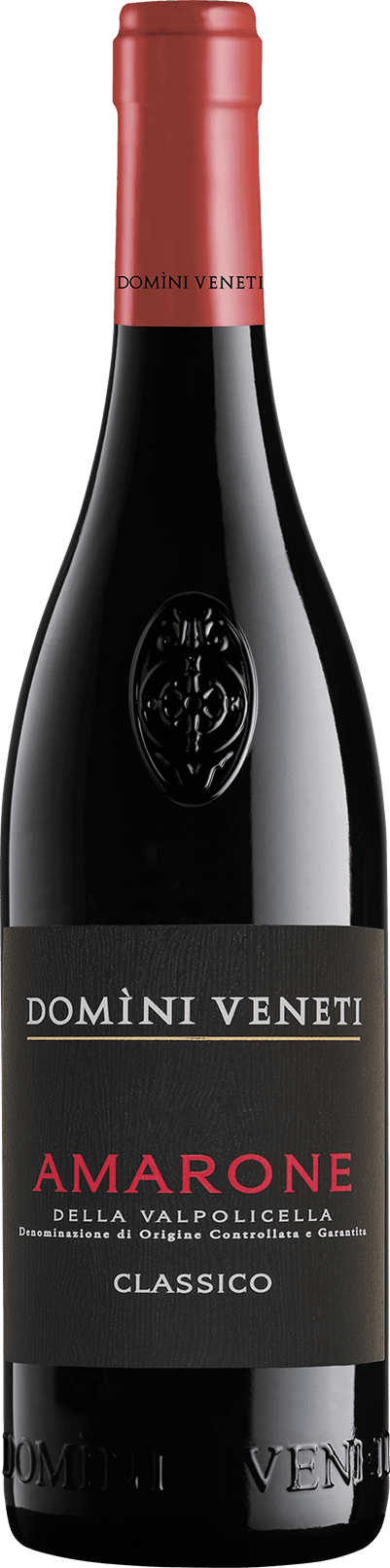 Amarone Della Valpolicella D.O.C.G. Classico 75cl (2021) DOMINI VENETI