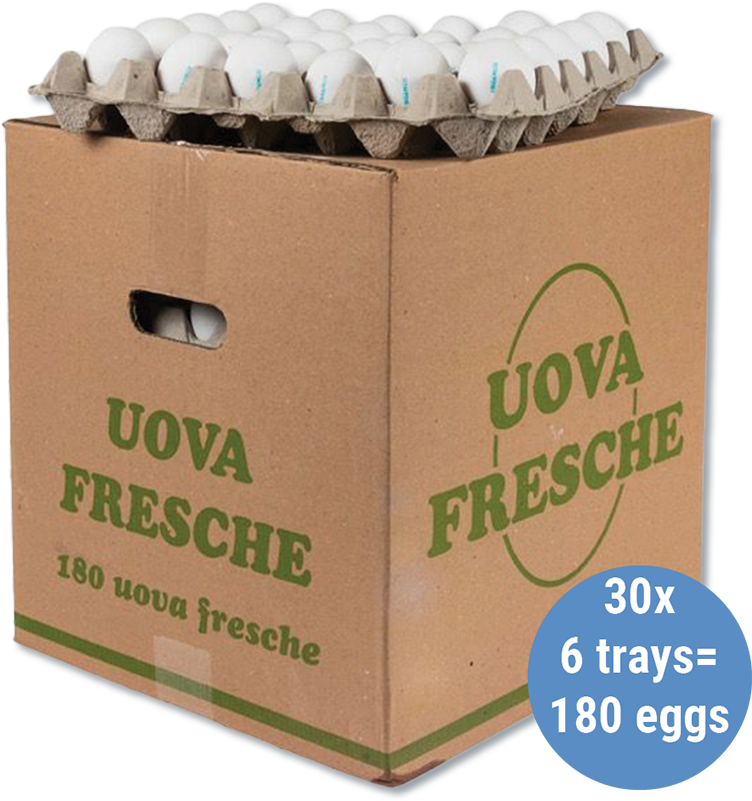 Uova Fresche Medie x30 EUROVO (6 Trays/Case)