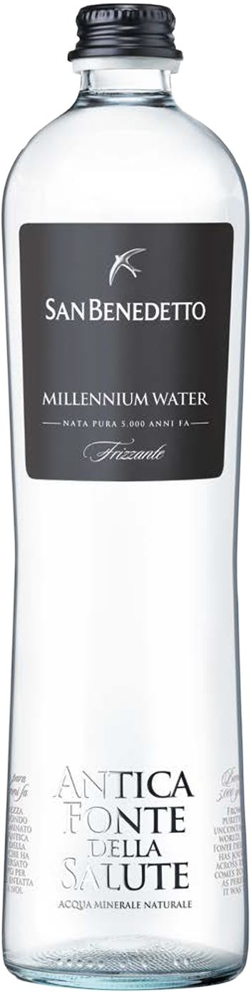 Acqua Minerale Frizzante Antica Fonte Della Salute 15x65cl SAN BENEDETTO