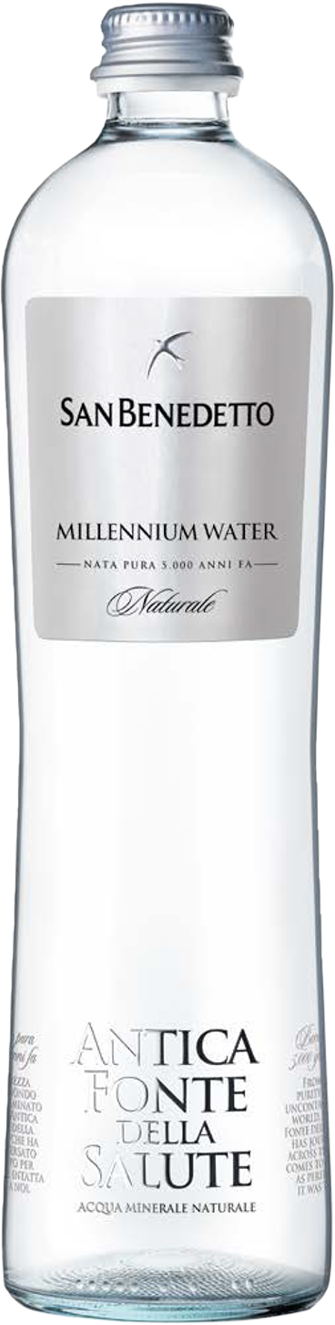 Acqua Minerale Naturale Antica Fonte Della Salute 15x65cl SAN BENEDETTO