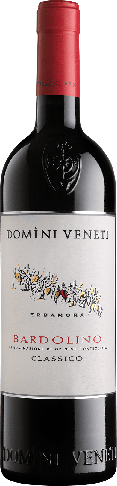 Bardolino D.O.C. Classico 75cl (2024) DOMINI VENETI