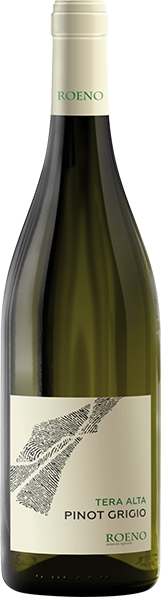 'Tera Alta' Pinot Grigio Valdadige D.O.C. 75cl (2025) AZIENDA AGRICOLA ROENO