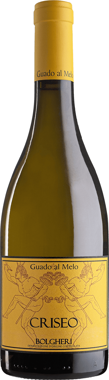 Criseo Bolgheri D.O.C. 75cl (2022) PODERE GUADO AL MELO