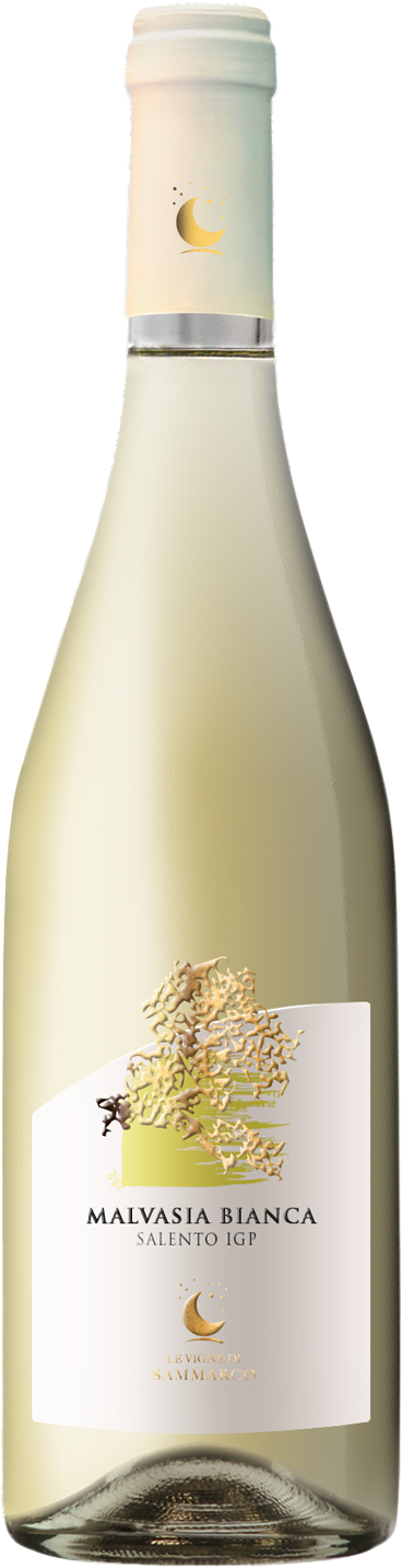 Malvasia Bianca I.G.P. Salento 75cl (2024) LE VIGNE DI SAMMARCO