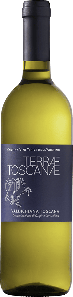 'Terrae Toscanae' Valdichiana Toscana D.O.C. 75cl (2025) VINI TIPICI DELL'ARETINO