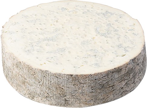 Gorgonzola Dolce al Cucchiaio Intero (12kg approx) CASARRIGONI